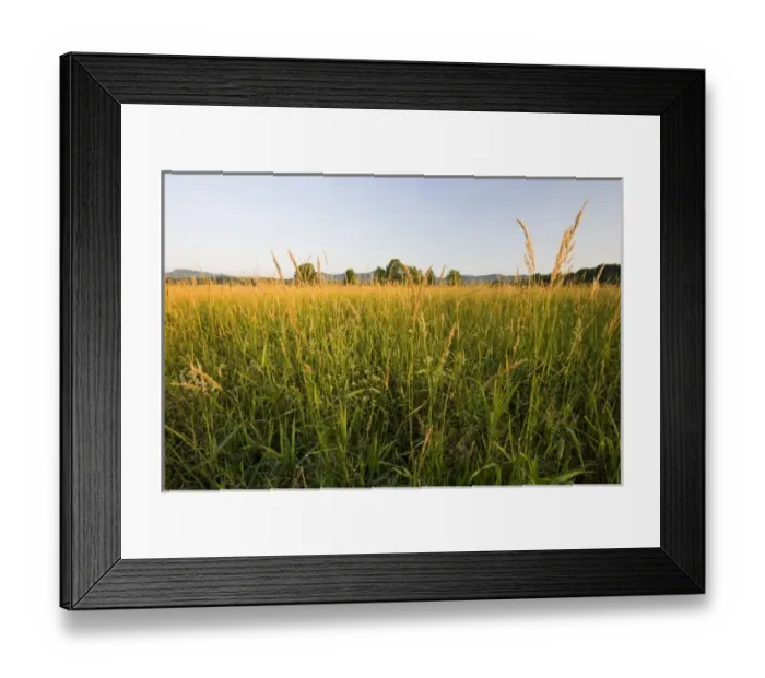 Framed Print : USA, North America, Massachusetts