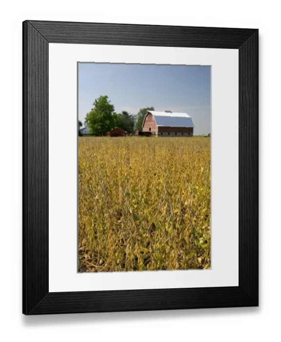 Framed Print : USA, North America, Illinois Framed Print : USA, North America, Illinois