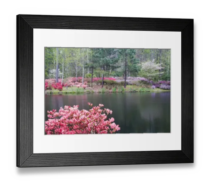Framed Print : USA, North America, Georgia Framed Print : USA, North America, Georgia