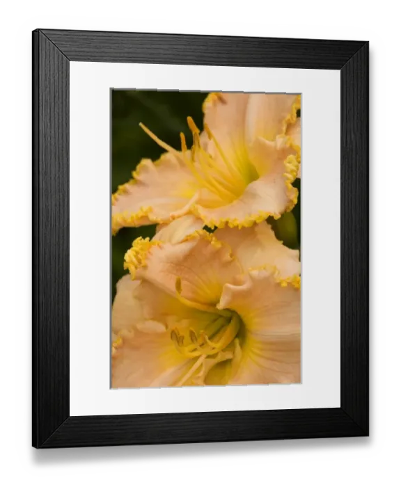 Framed Print : USA, North America, Georgia Framed Print : USA, North America, Georgia
