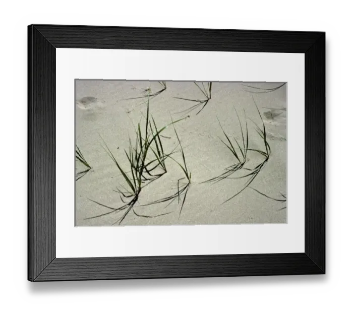Framed Print : USA, Michigan, Sleeping Bear Dunes National Lakeshore Framed Print : USA, Michigan, Sleeping Bear Dunes National Lakeshore