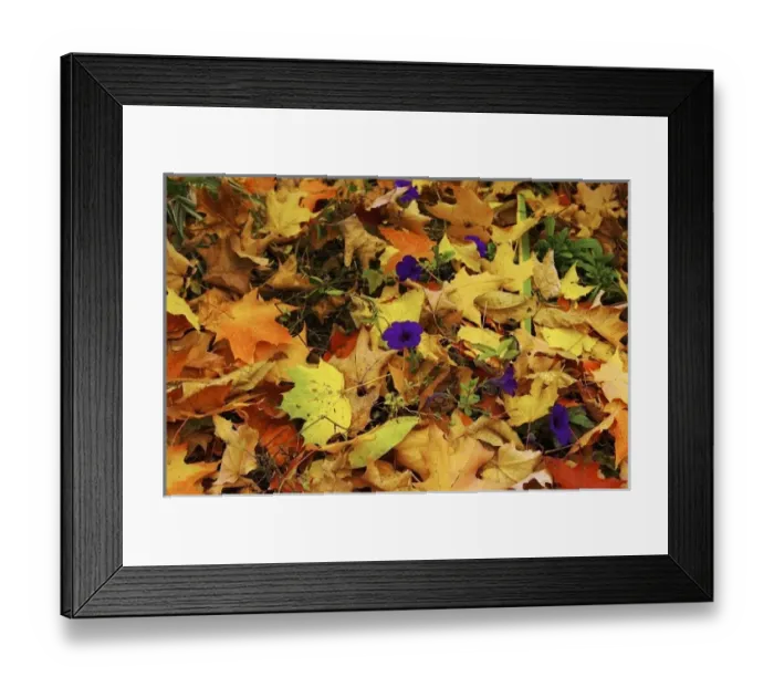 Framed Print : USA, North America, Massachusetts Framed Print : USA, North America, Massachusetts