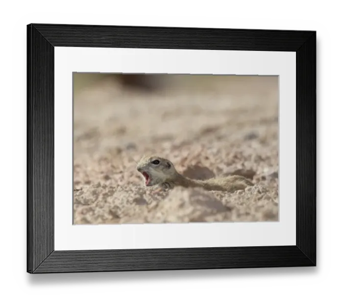 Framed Print : USA, North America, Nevada Framed Print : USA, North America, Nevada