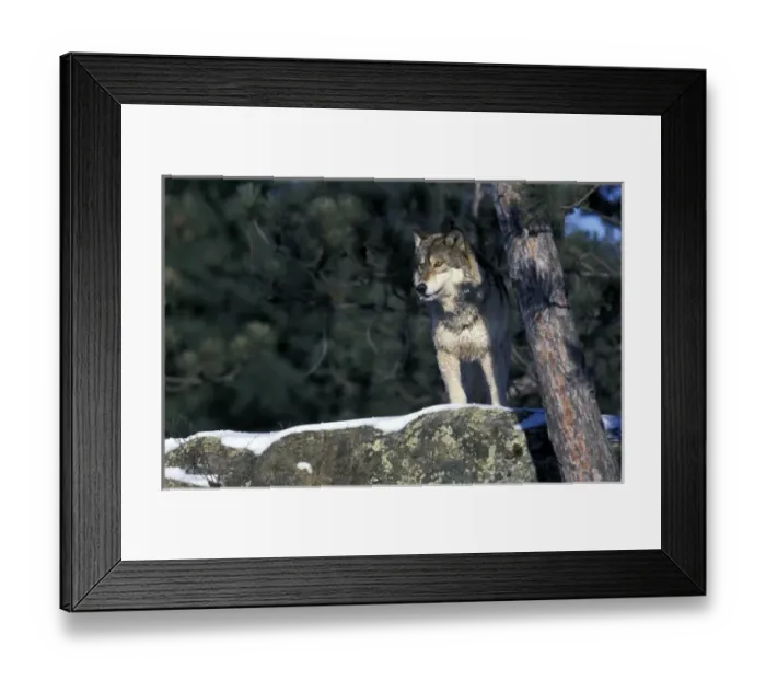 Framed Print : USA, North America, Minnesota
