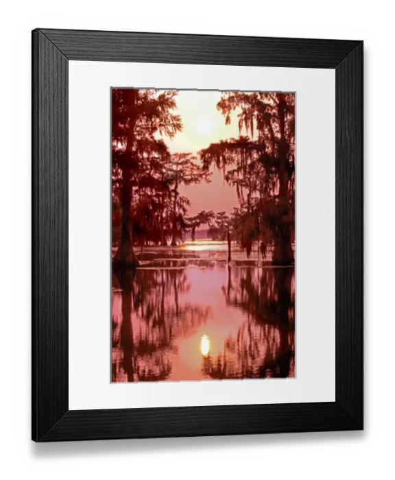 Framed Print : USA, Louisiana. Sunset on a Atchafalaya Basin bayou Framed Print : USA, Louisiana. Sunset on a Atchafalaya Basin bayou