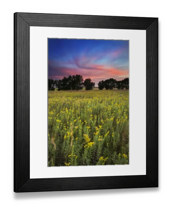 Framed Print : Prairie at sunset, Homestead National Monument of America, Nebraska, USA Framed Print : Prairie at sunset, Homestead National Monument of America, Nebraska, USA