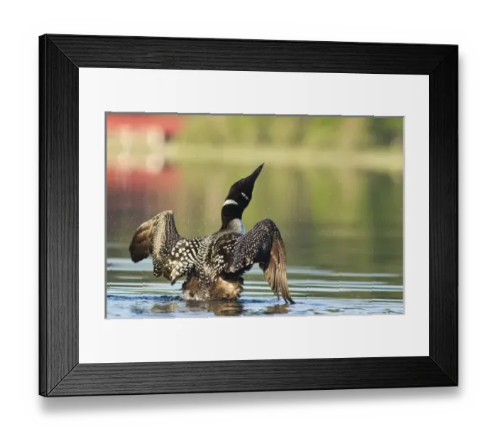 Framed Print : USA, North America, Montana Framed Print : USA, North America, Montana