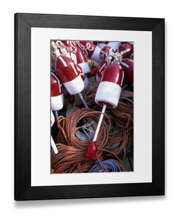 Framed Print : Lobster pot floats, Maine, USA Framed Print : Lobster pot floats, Maine, USA