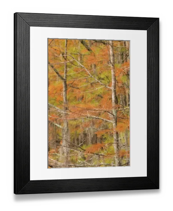 Framed Print : USA, North America, Georgia Framed Print : USA, North America, Georgia