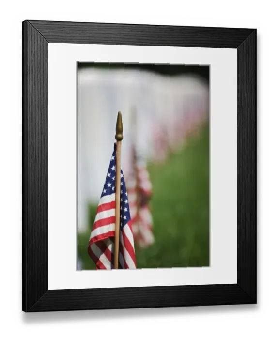 Framed Print : American flags on tombs of American Veterans on Memorial Day, Zachary Taylor National Cemetery