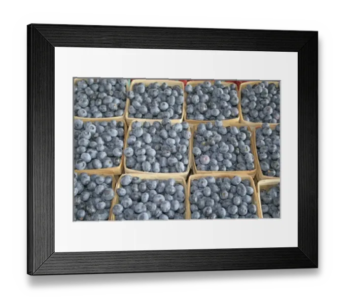 Framed Print : Blueberries at farmers market in South Haven Michigan Framed Print : Blueberries at farmers market in South Haven Michigan