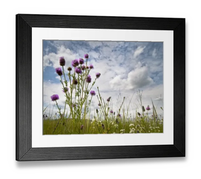 Framed Print : USA, North America, Minnesota Framed Print : USA, North America, Minnesota