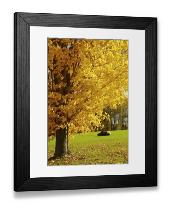 Framed Print : USA, North America, Massachusetts