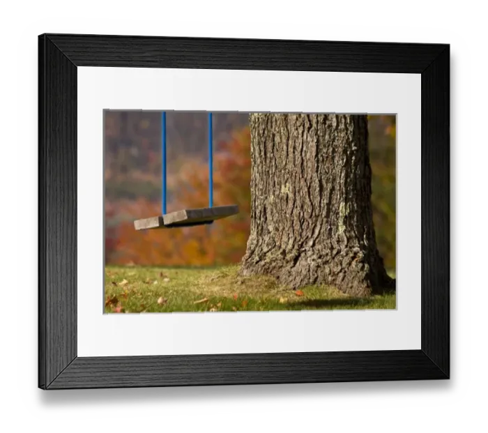 Framed Print : USA, Maine, Bethel. Close-up of a wooden swing hangs from a tree