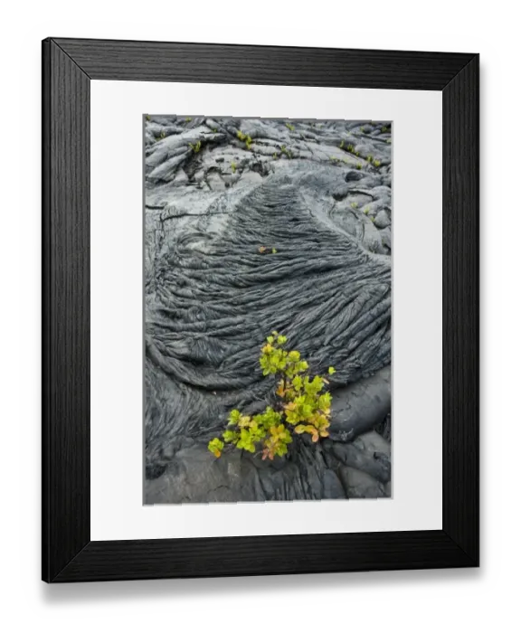 Framed Print : USA, North America, Hawaii Framed Print : USA, North America, Hawaii