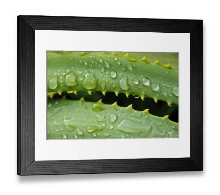 Framed Print : USA, North America, Hawaii