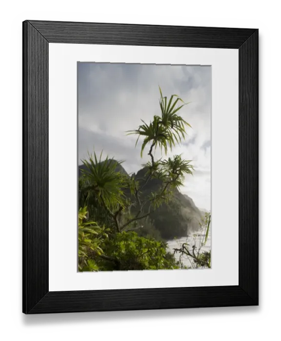 Framed Print : USA, Hawaii, Kauai Island, Na Pali Coast State Park, Setting sun lights tropical