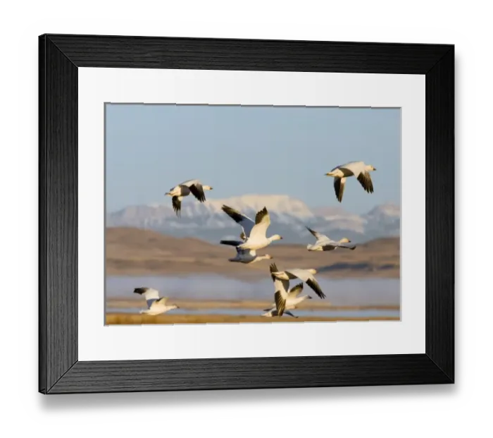 Framed Print : USA, North America, Montana Framed Print : USA, North America, Montana