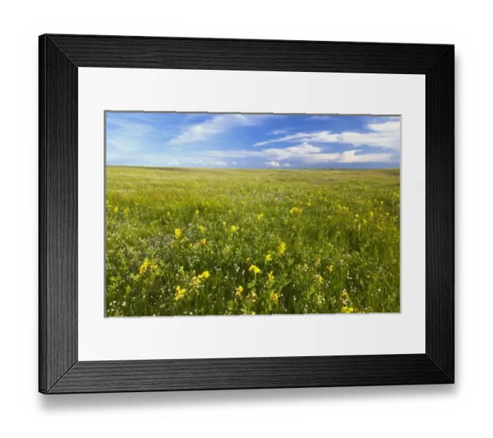 Framed Print : USA, North America, Montana Framed Print : USA, North America, Montana