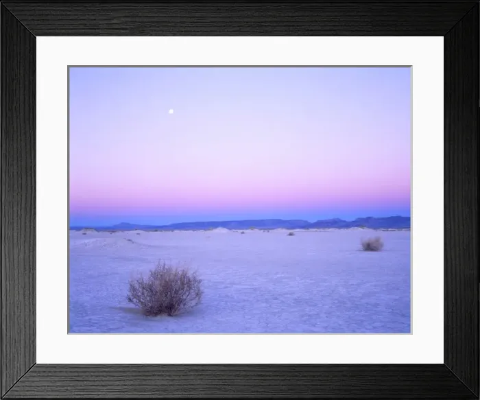 Framed Print : Nevada. USA. Moon over alkali playa at dawn. Railroad Valley. Great Basin Framed Print : Nevada. USA. Moon over alkali playa at dawn. Railroad Valley. Great Basin