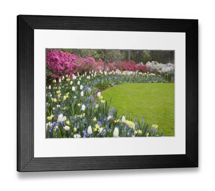 Framed Print : USA, North America, Georgia Framed Print : USA, North America, Georgia