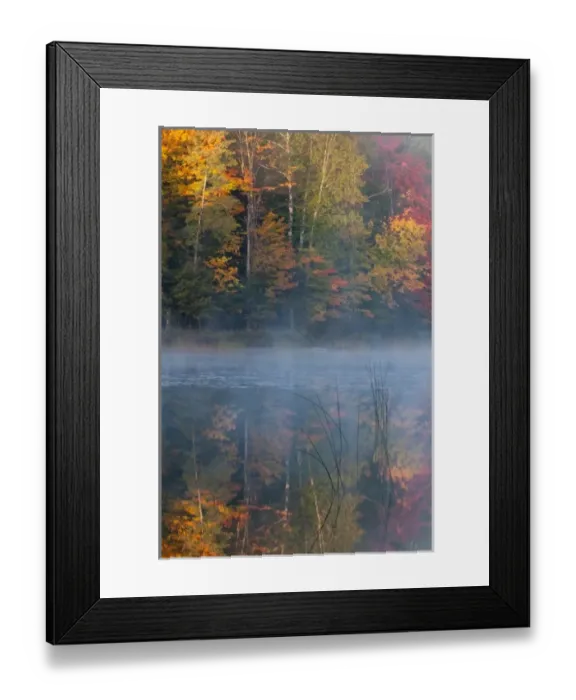 Framed Print : USA, Michigan, Upper Peninsula. Thornton Lake with fog and tree reflections Framed Print : USA, Michigan, Upper Peninsula. Thornton Lake with fog and tree reflections