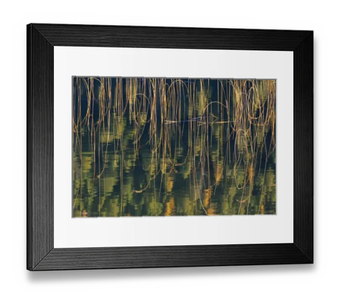 Framed Print : USA, North America, Montana Framed Print : USA, North America, Montana