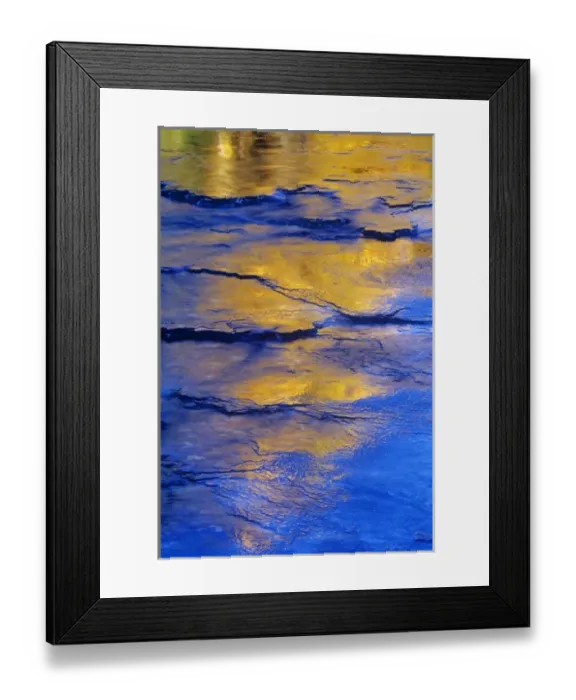 Framed Print : Tamarack trees reflect on newly formed ice on Lost Creek in the Swan Valley of