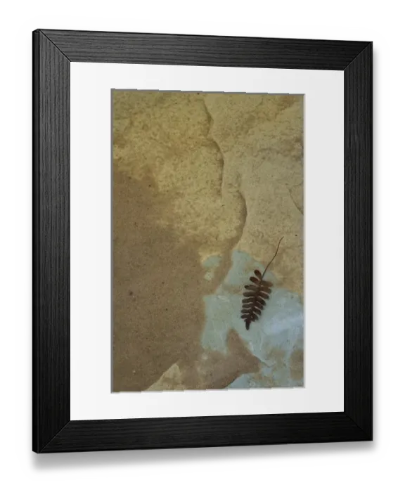Framed Print : USA, North America, Michigan Framed Print : USA, North America, Michigan