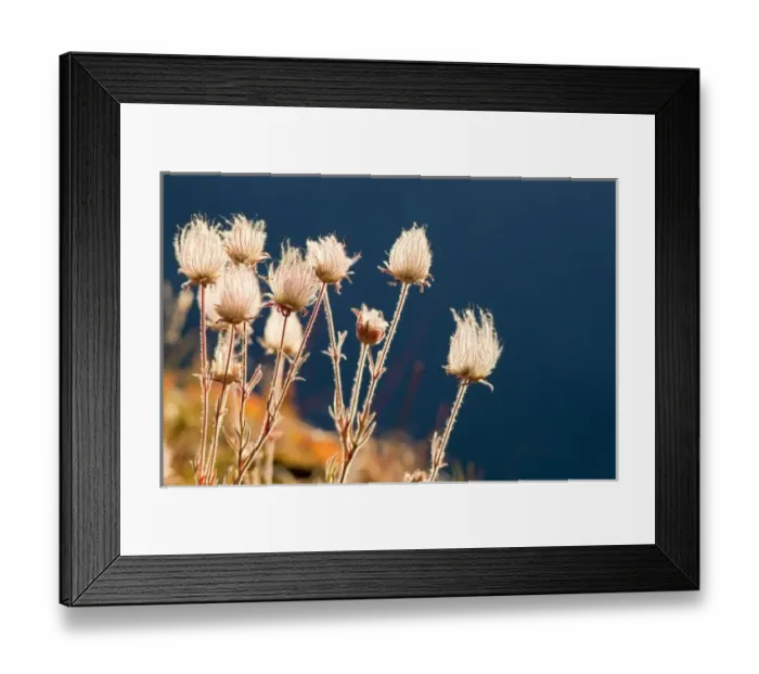 Framed Print : USA, North America, Montana