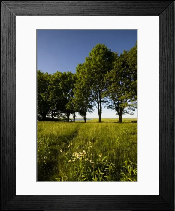 Framed Print : Sawyers Island, Rowley, Massachusetts Framed Print : Sawyers Island, Rowley, Massachusetts