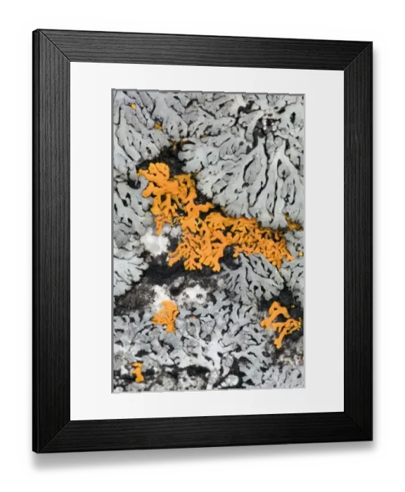 Framed Print : USA, North America, Minnesota Framed Print : USA, North America, Minnesota