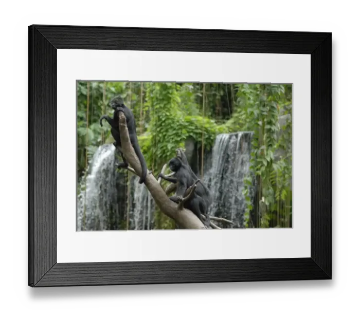 Framed Print : USA, North America, Missouri