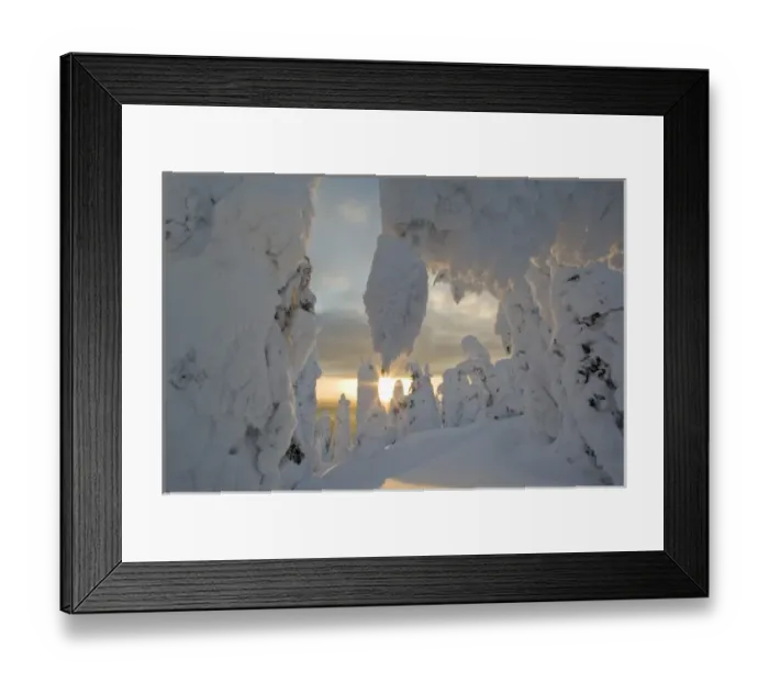 Framed Print : Snowghosts at sunset at Whitefish Mountain Resort in Montana Framed Print : Snowghosts at sunset at Whitefish Mountain Resort in Montana