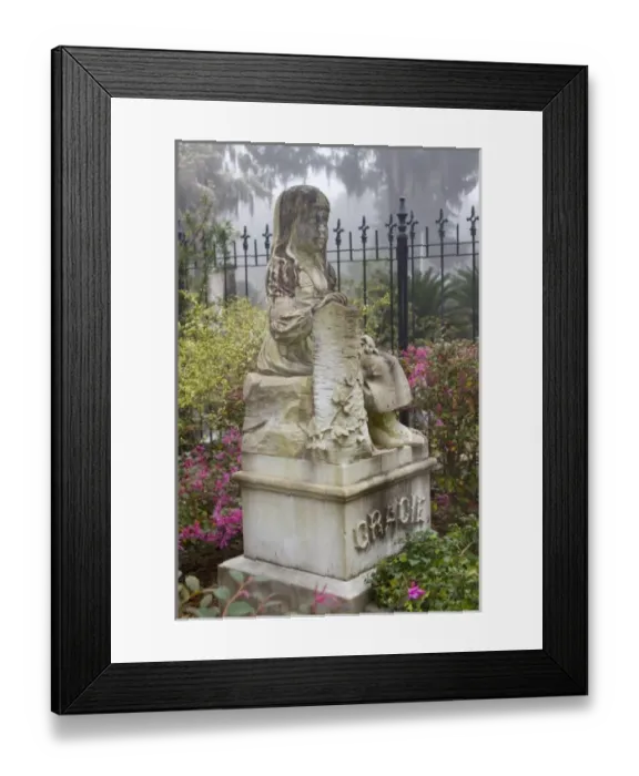 Framed Print : USA, North America, Georgia Framed Print : USA, North America, Georgia