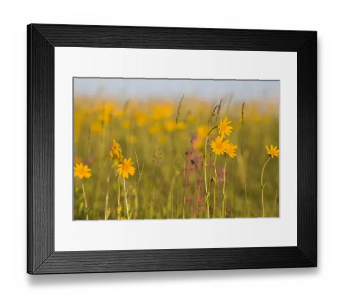 Framed Print : USA, North America, Montana Framed Print : USA, North America, Montana