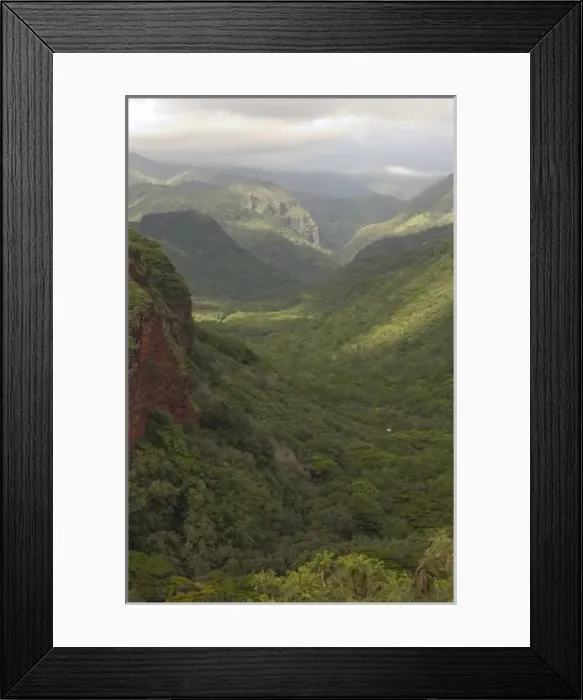 Framed Print : USA, Hawaii, Kauai, Canyon overlook. (RF)