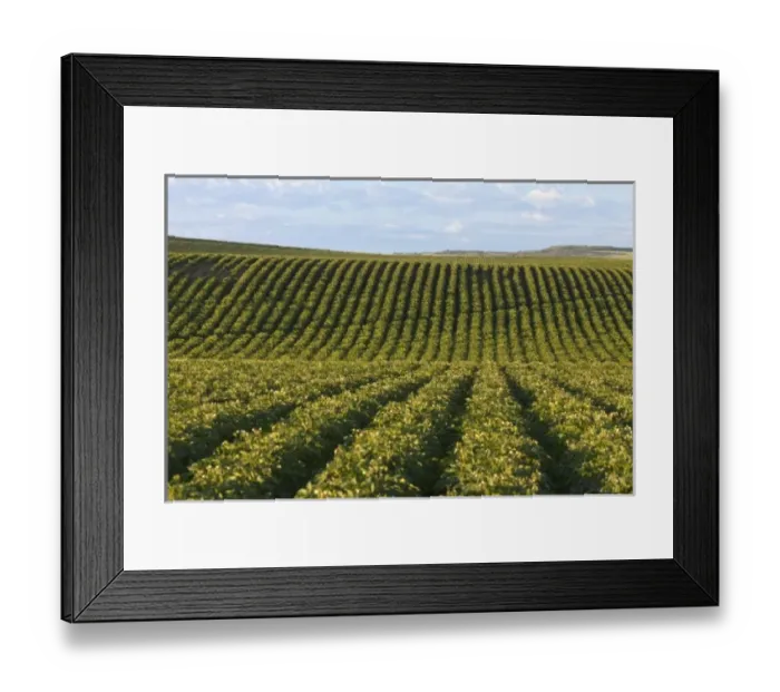 Framed Print : USA, North America, Idaho Framed Print : USA, North America, Idaho
