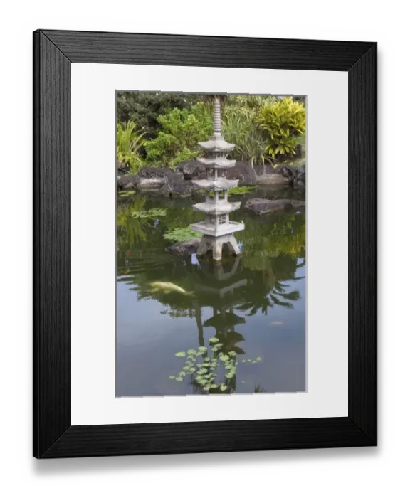 Framed Print : USA, Hawaii, Kauai, Chinese garden with Koi. (RF) Framed Print : USA, Hawaii, Kauai, Chinese garden with Koi. (RF)