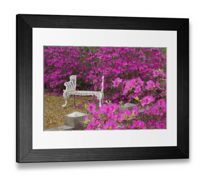 Framed Print : USA, Georgia, Savannah, Spring at Historic Bonaventure Cemetery Framed Print : USA, Georgia, Savannah, Spring at Historic Bonaventure Cemetery