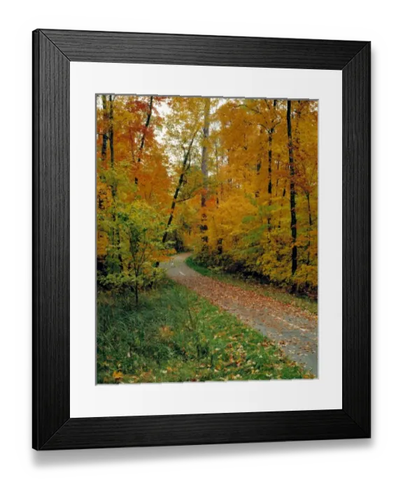 Framed Print : USA, Minnesota, Itasca State Park, Bike Path Framed Print : USA, Minnesota, Itasca State Park, Bike Path