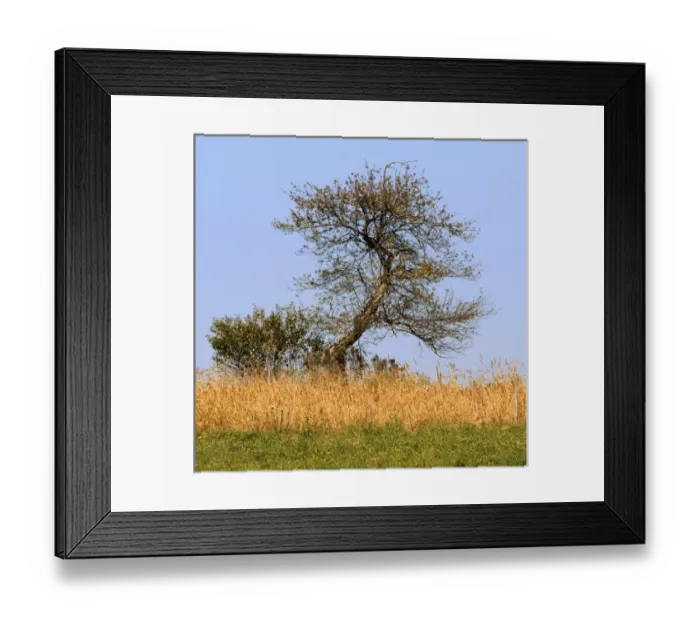 Framed Print : USA, North America, Maine Framed Print : USA, North America, Maine