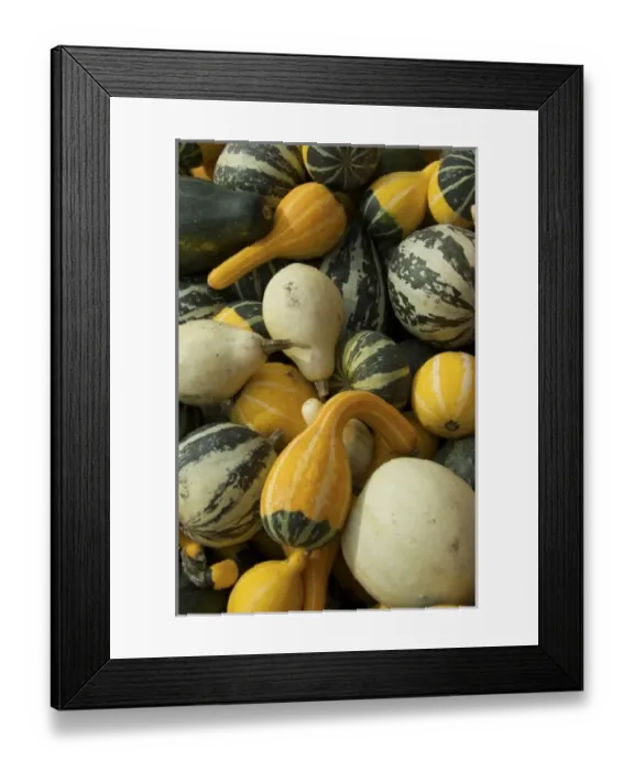 Framed Print : USA, North America, Massachusetts Framed Print : USA, North America, Massachusetts