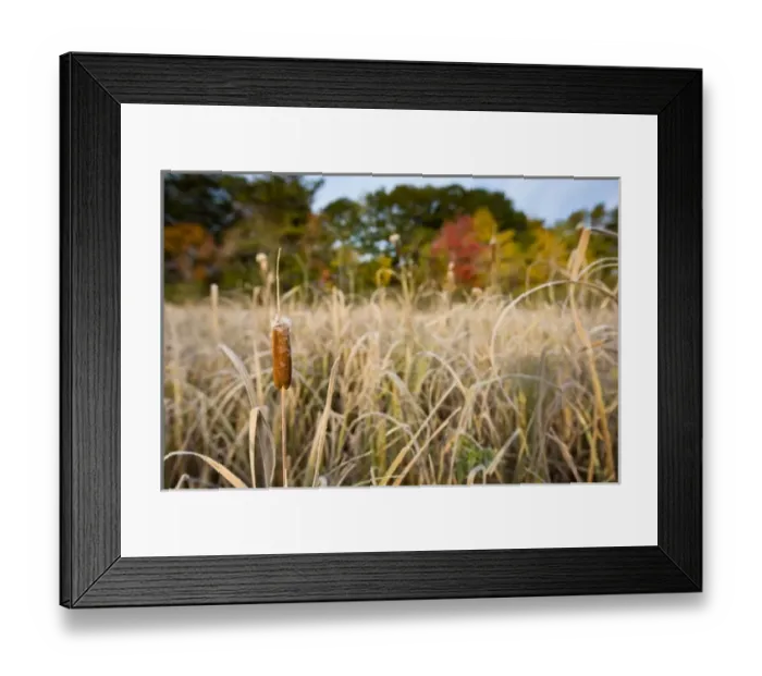 Framed Print : USA, North America, Maine Framed Print : USA, North America, Maine