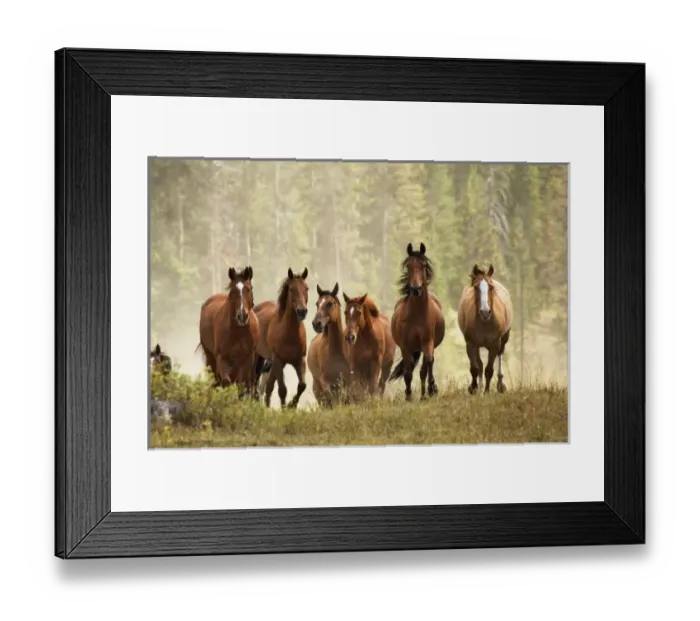 Framed Print : USA, North America, Montana Framed Print : USA, North America, Montana