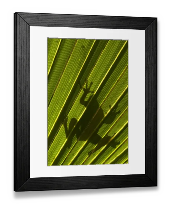 Framed Print : USA, North America, Georgia