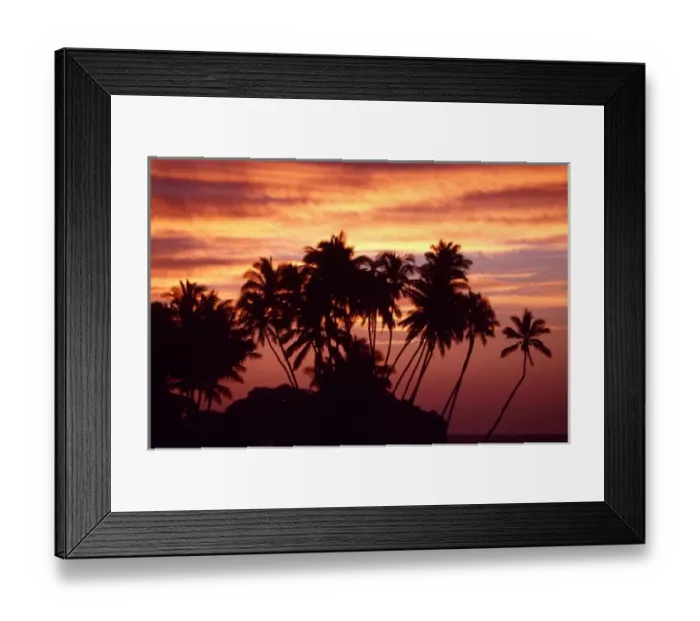 Framed Print : USA, Hawaii, Big Island. Sunset over palm grove
