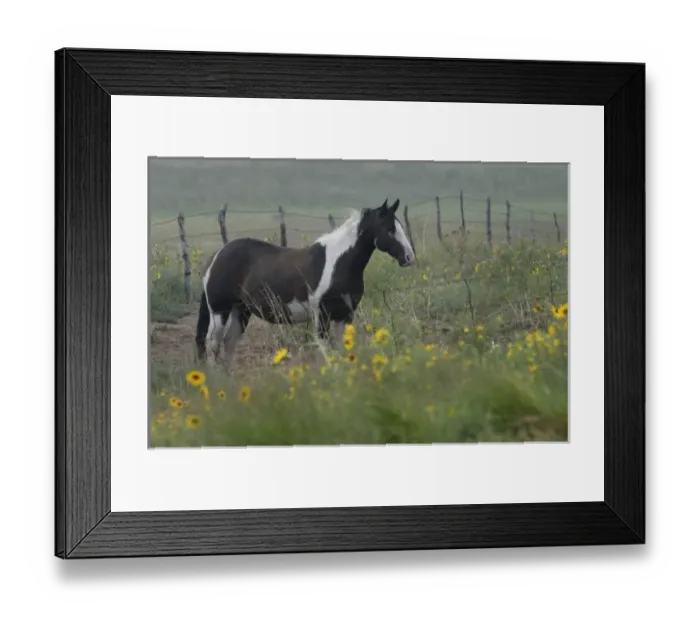Framed Print : The Nebraska Sandhills is remote, dramatic and wild country dotted with working windmills Framed Print : The Nebraska Sandhills is remote, dramatic and wild country dotted with working windmills