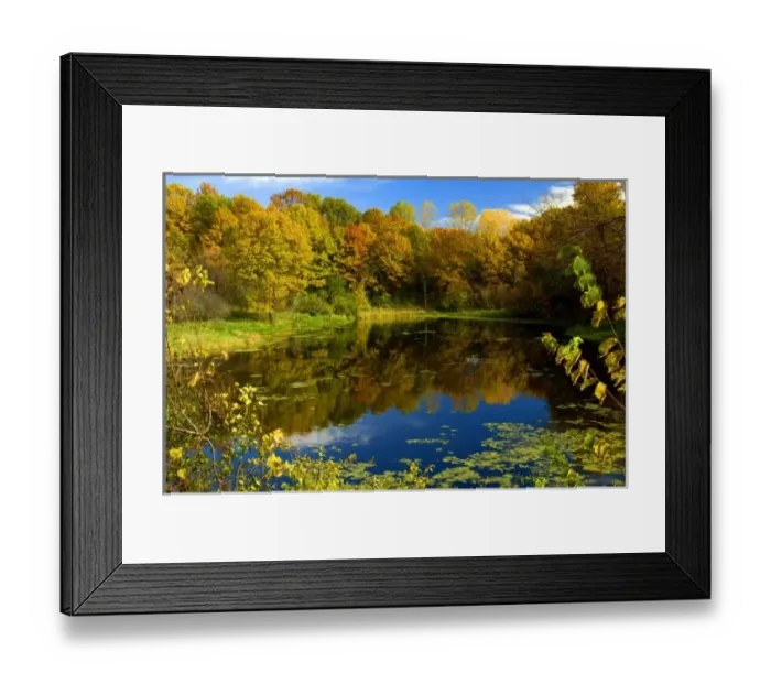 Framed Print : USA, North America, Minnesota