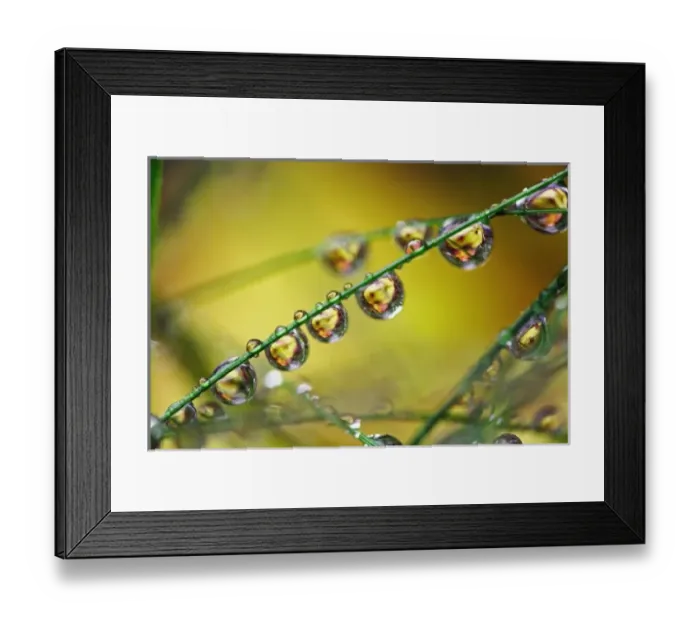 Framed Print : USA, North America, Maine